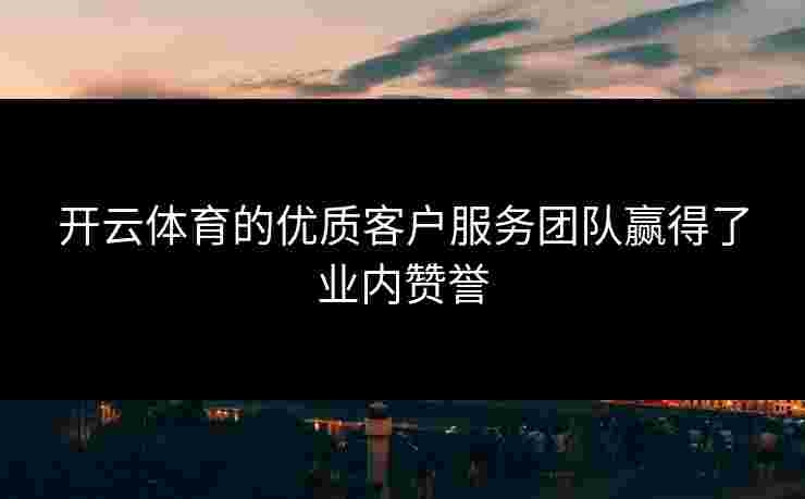 开云体育的优质客户服务团队赢得了业内赞誉