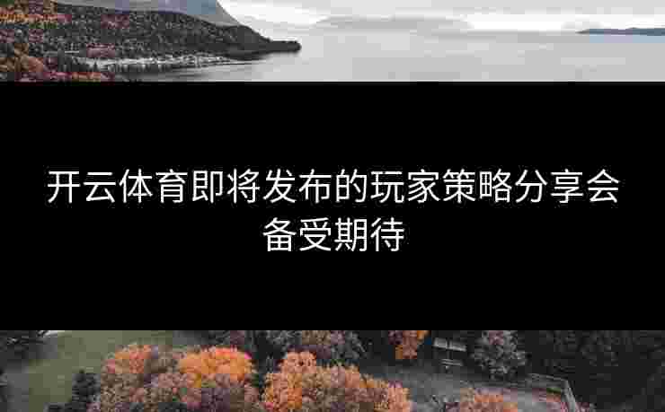 开云体育即将发布的玩家策略分享会备受期待