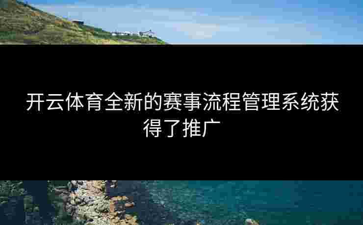 开云体育全新的赛事流程管理系统获得了推广